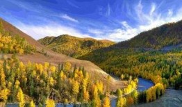 喀纳斯景区爆料视频播放,揭秘神秘自然奇观背后的故事